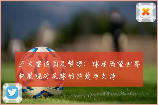 王大雷谈国足梦想：球迷渴望世界杯展现对足球的热爱与支持